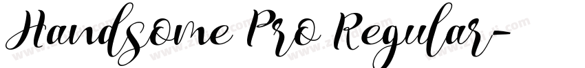 Handsome Pro Regular字体转换